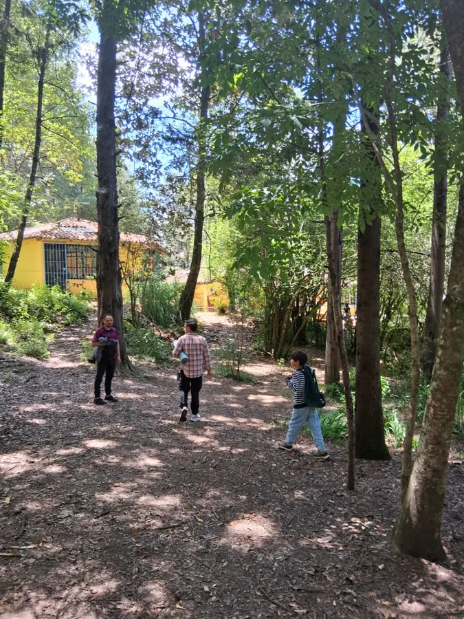 Niñas y niños en actividades al aire libre de Mundo Consciente 2025