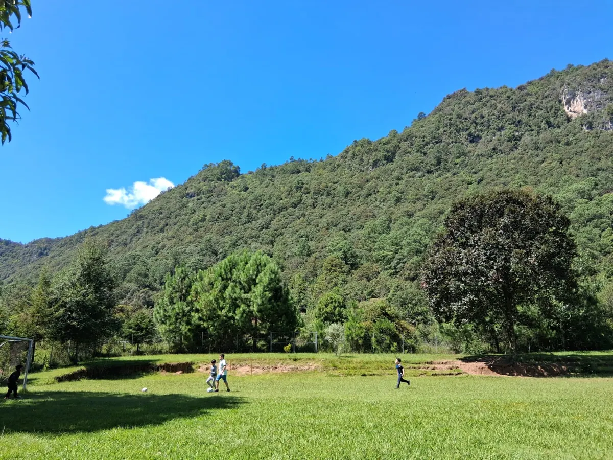 Grupo de niñas y niños en naturaleza durante Mundo Consciente 2025